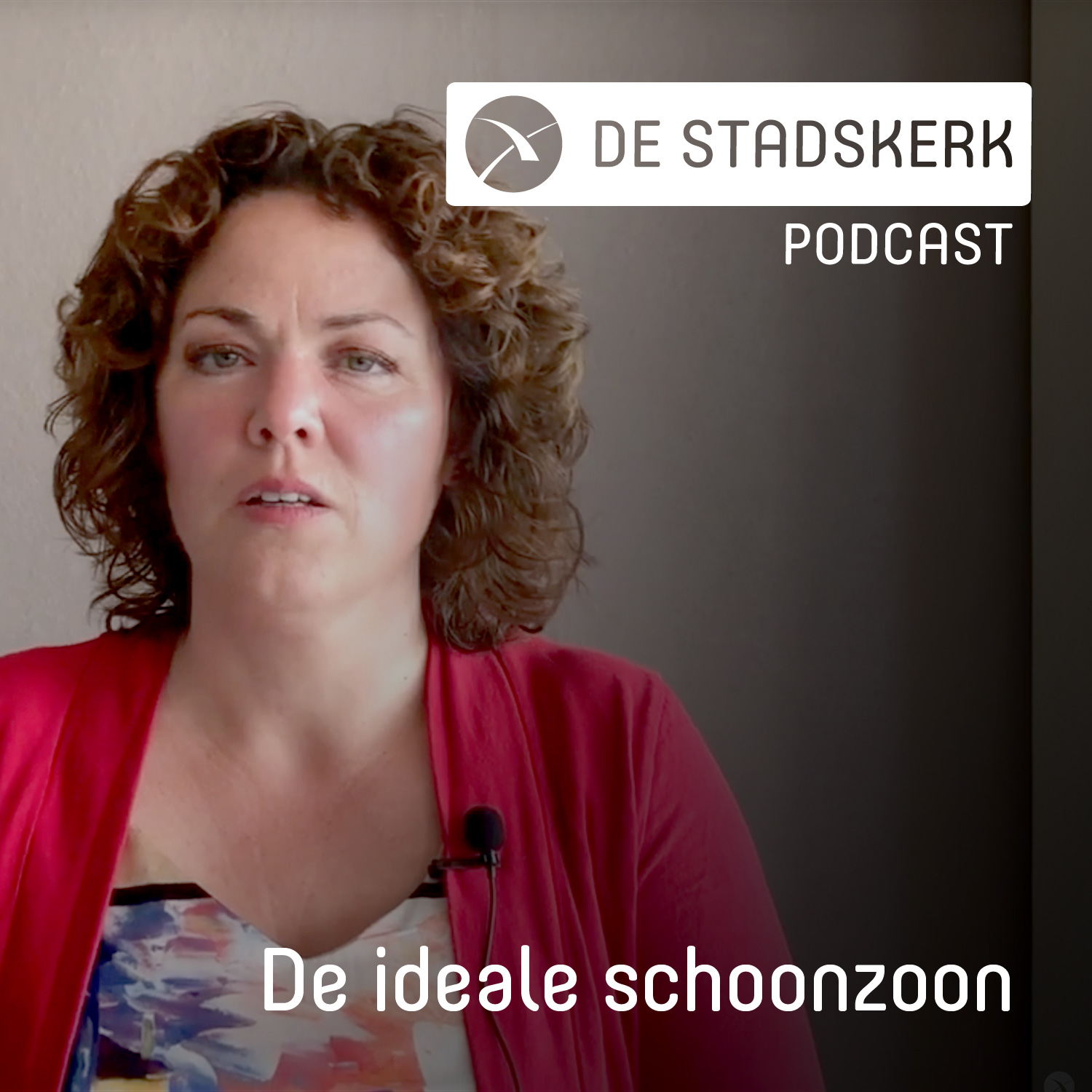 De ideale schoonzoon | Maria Prins