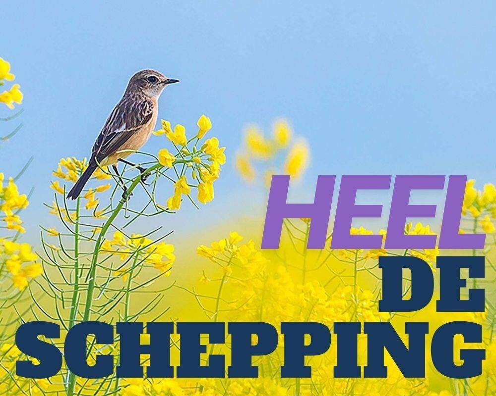 Thema-avond Leven van Genoeg